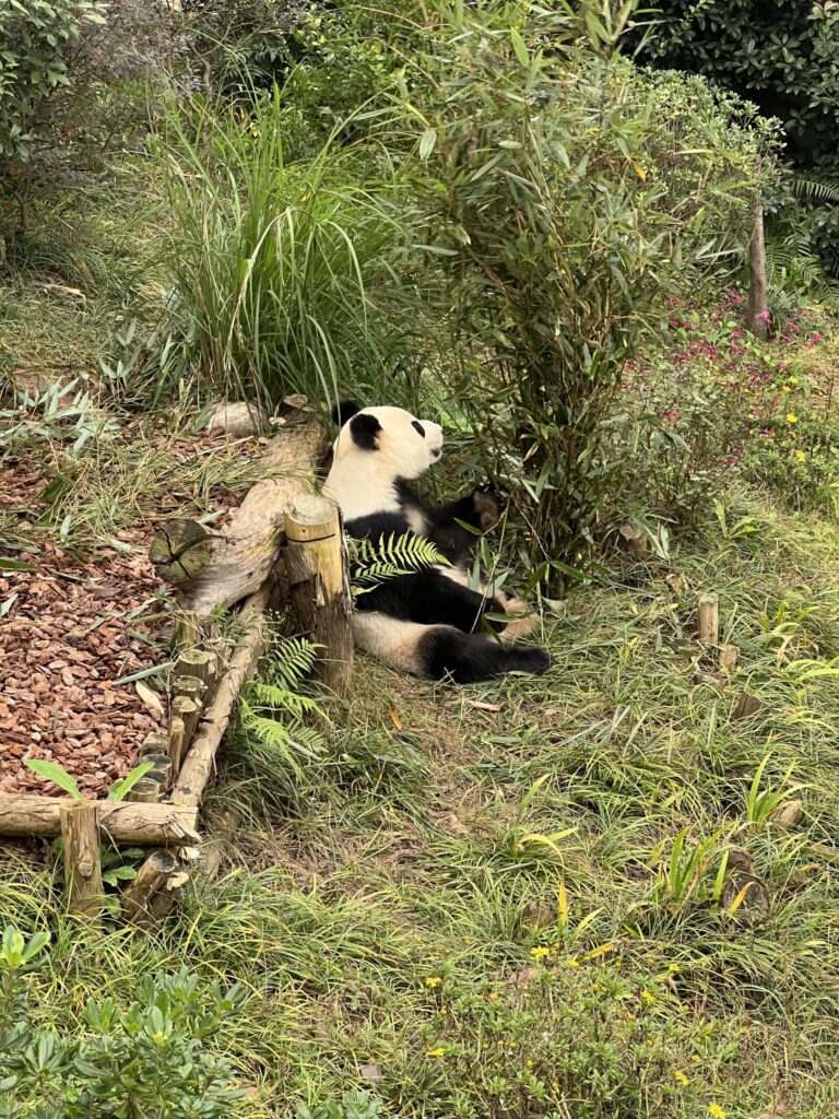 Chengdu